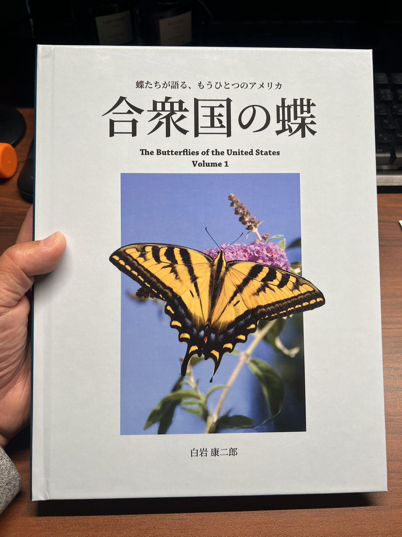 ハートランダー様　虫 虫キチコージ (@mushikichi_koji) / X