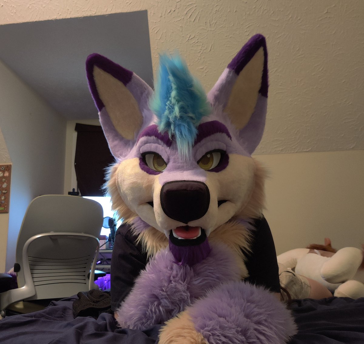 Riley_Coyote_'s tweet photo. Let's bring back #TMITuesday. 

Ask me ANYTHING. https://t.co/3R4iEcA4gZ
