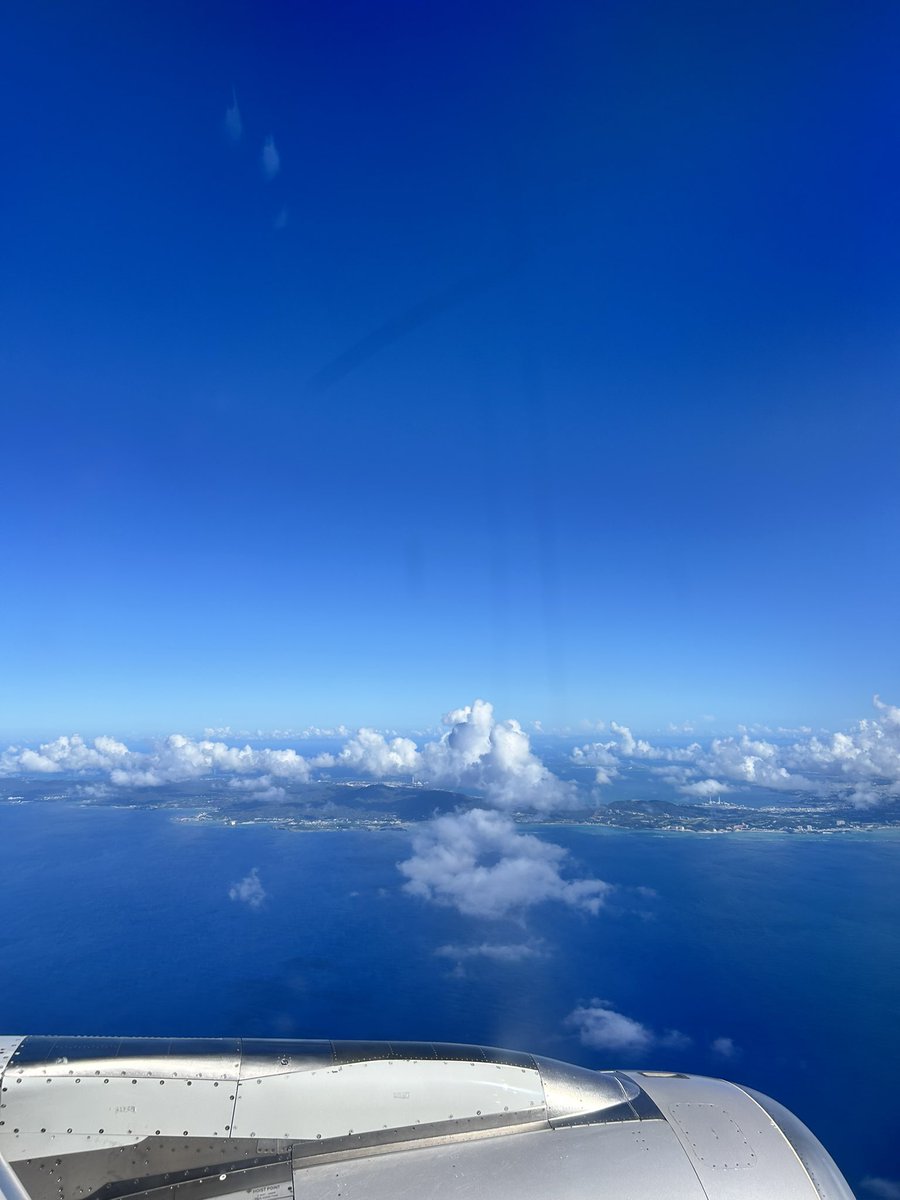 今日から沖縄🌺🌺
浦和戦はゴーヤチャンプル食べながらDAZNでした⚽️3連勝したかったなぁあ（ ;  ; ）😭
#清水エスパルス