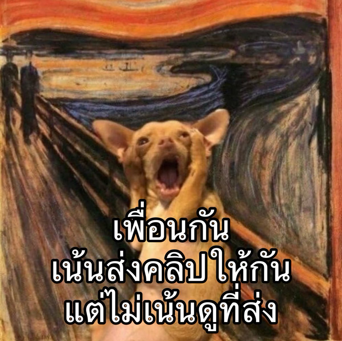IMeSayIt's tweet photo. ไม่รู้ส่งคลิปเดียวกันให้กันกี่รอบแล้ว https://t.co/GSm0IrywAc