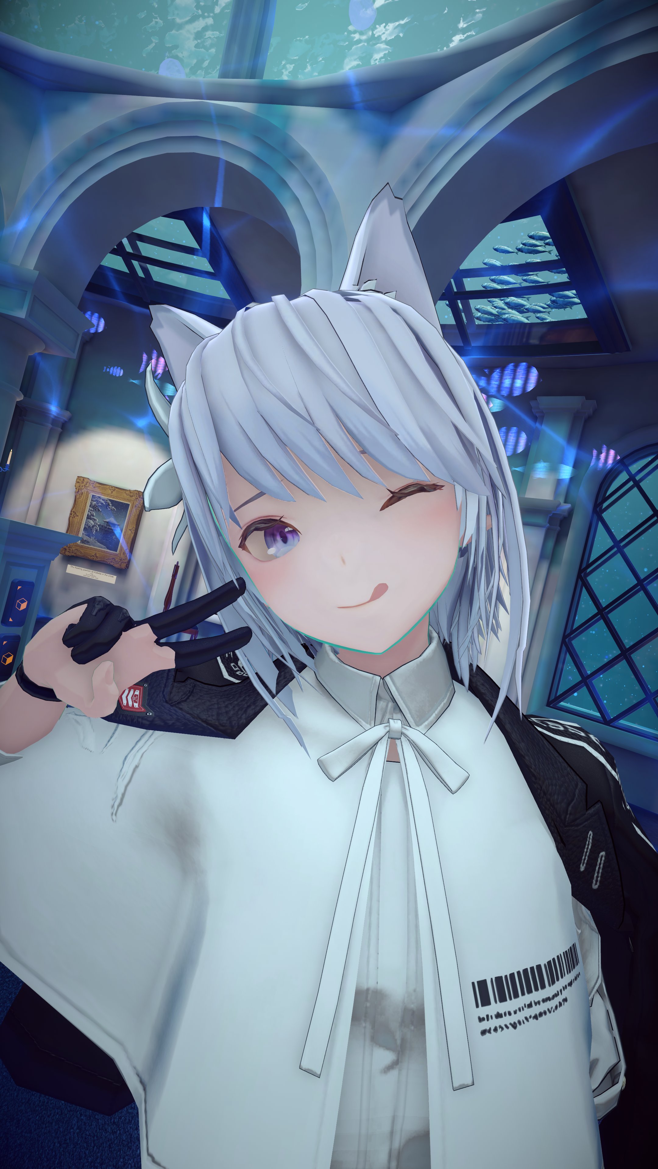 ねこねこ様 4523251033116_00.jpg