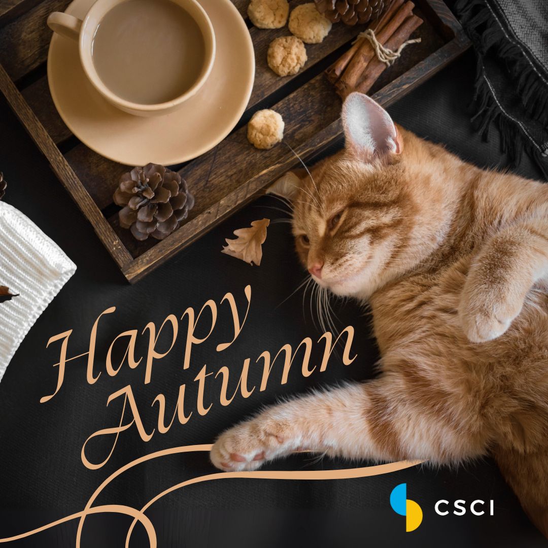 CSCIConsulting's tweet image. Colorful leaves and crisp mornings are HERE 🍂 Happy first full day of fall from CSCI!