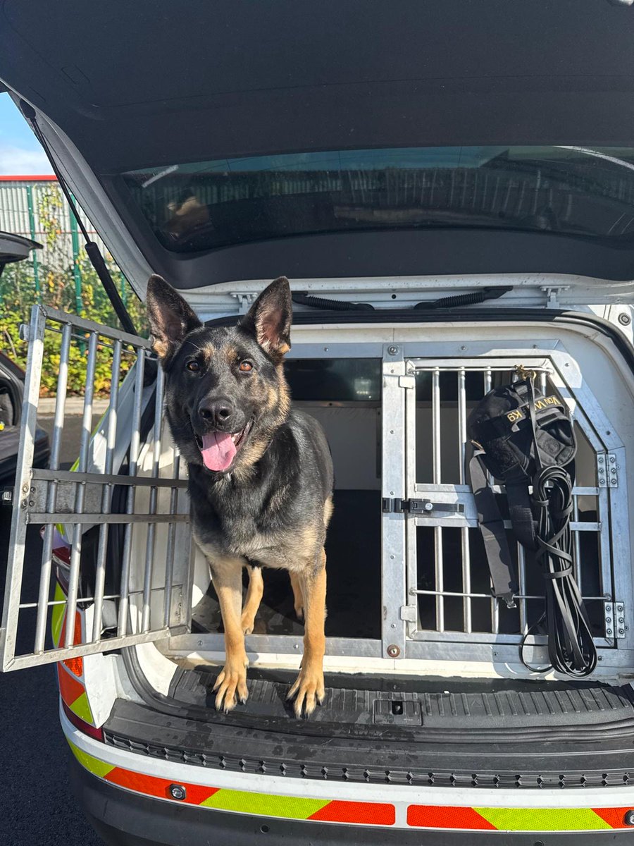 Pd Nova Ready for, action.
Nova and her handler put their tracking skills to full use.
After a pursuit of a 🚗  the occupant abandoned and fled on foot.
PD Nova in hot pursuit tracked the suspect and located them hiding - yes you guessed it, in a bush.
Great work 1 in custody