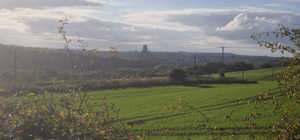 Durham City History tweet media