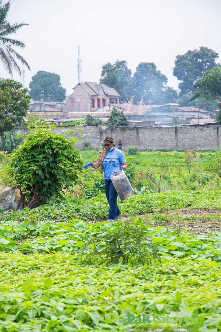 PAK CITOYEN tweet media