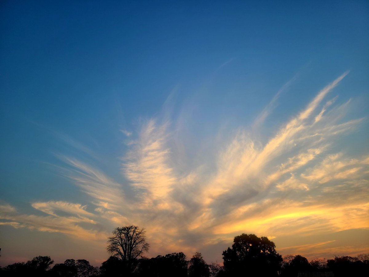 looks like a rapture kinda sunset

🌅