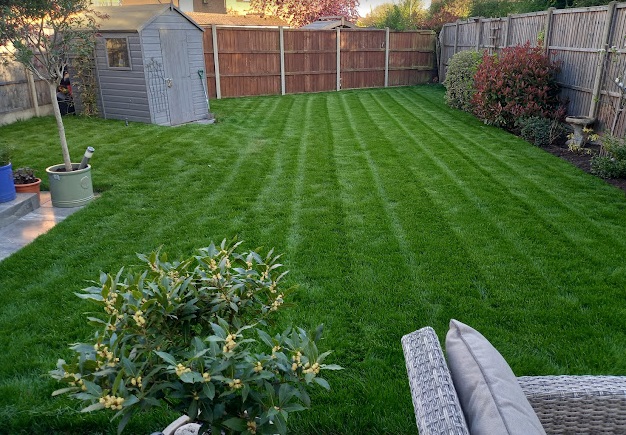 A established garden and a great example of our Regal Turf in situ. 🌱

#RegalTurf #GardenDesign #Landscaping #OutdoorLiving #TurfManagement #SustainableLandscaping
