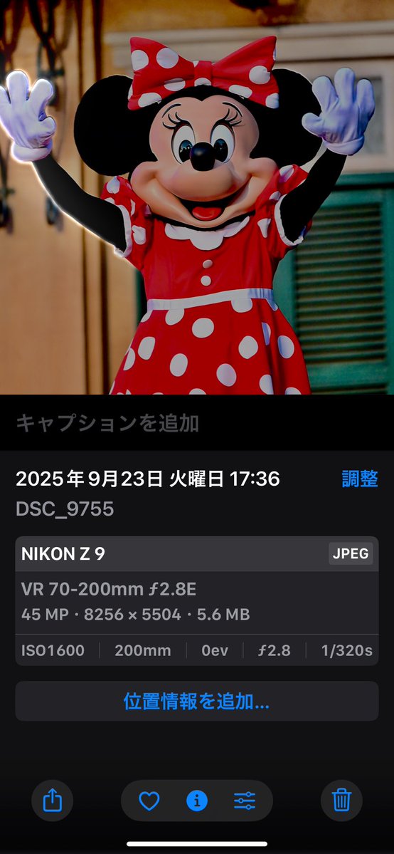 今月末で削除予定！超レア❤️ミッキーパペットミニーパペット 今月末で削除予定！超レア❤️ミッキーパペットミニーパペット