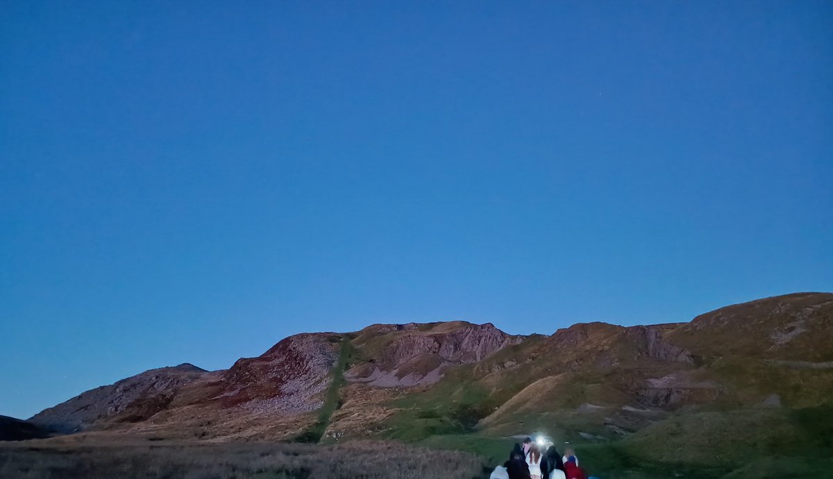 Call of the Wild tweet media