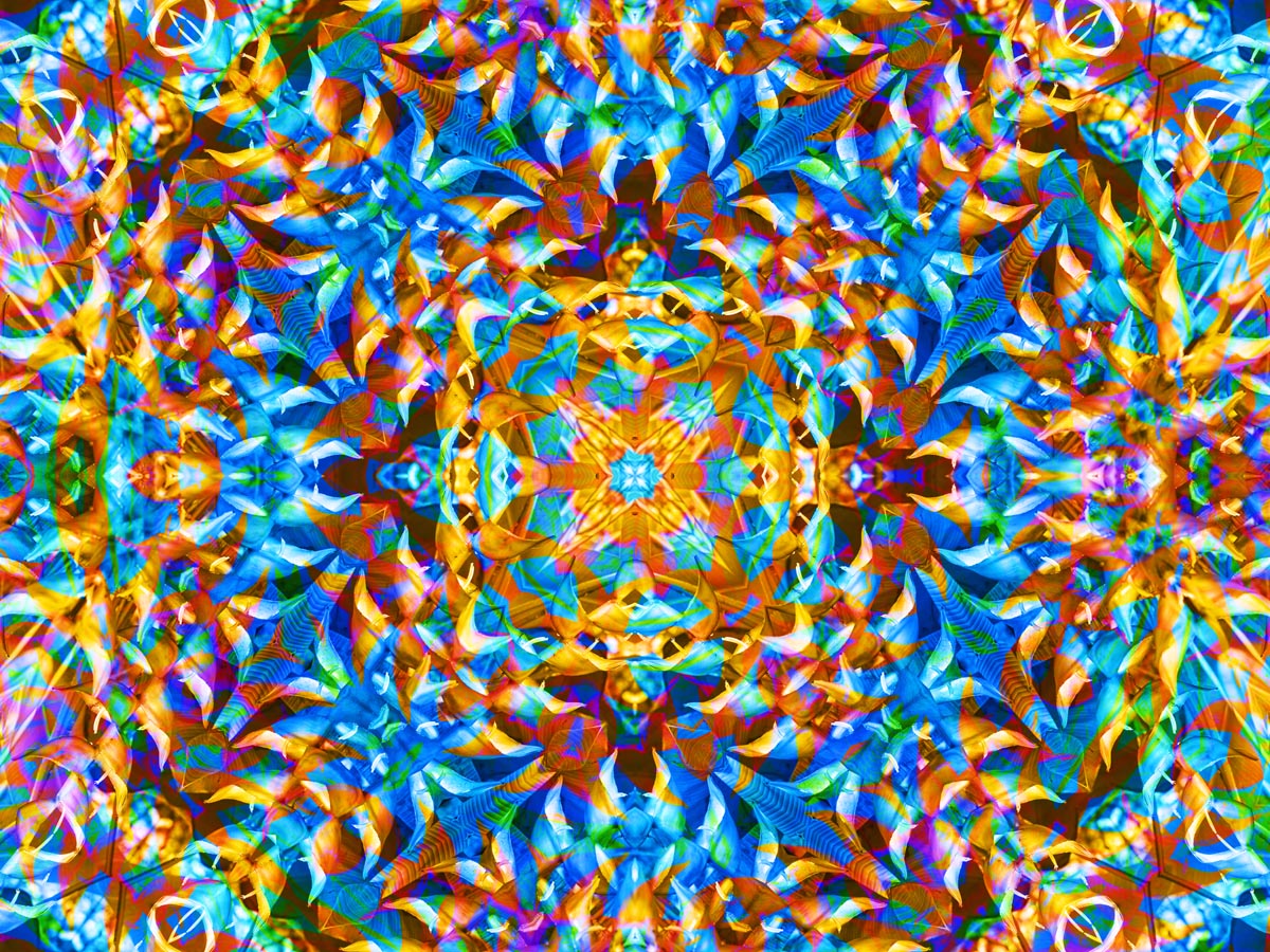 THANKS <a href="/e1igible/">MATiUSHYN</a> for sharing this !!
FREE on ZeroOne! Each of your posts earns you 10 of mine or other  artists! Build exposure, save collections, make connections on "X" and  ZeroOne!
zeroone.art/profile/hidann…   🔗⤵️
Happy #TEZOSTUESDAY  everyone !!
09/23 BLUE SCARAB BEETLES !!