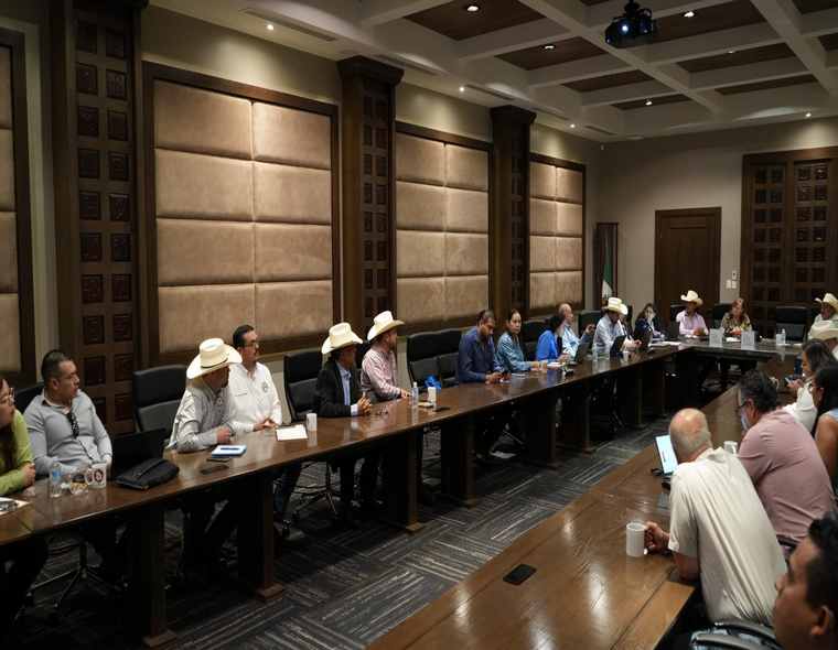 ArribaElCampo's tweet image. Colaboran #USDA- #APHIS y #SENASICA en revisión de protocolos #sanitarios en #Chihuahua 
arribaelcampo.com.mx/colaboran-usda…