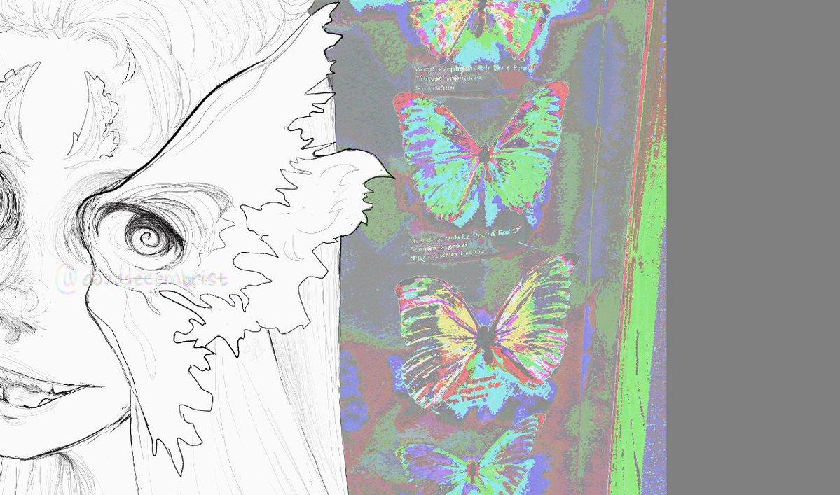 mothlooks.png
#イラスト #digitalart #illustration