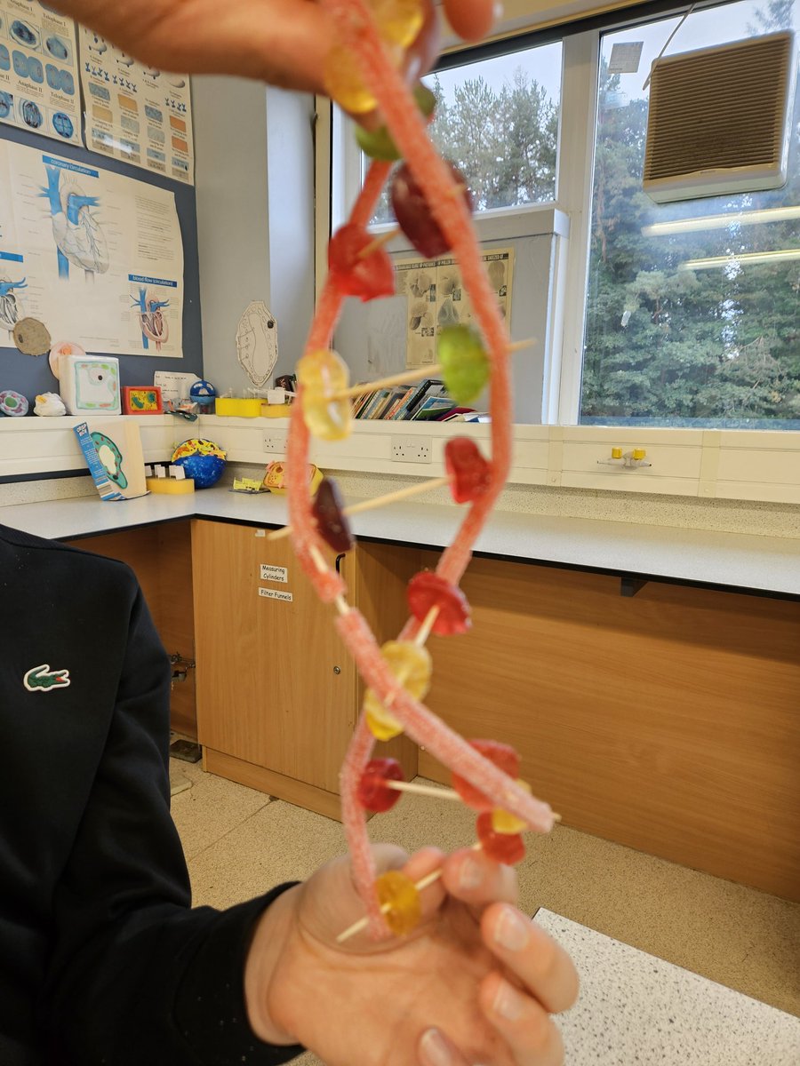 St Aidan's High Science tweet media