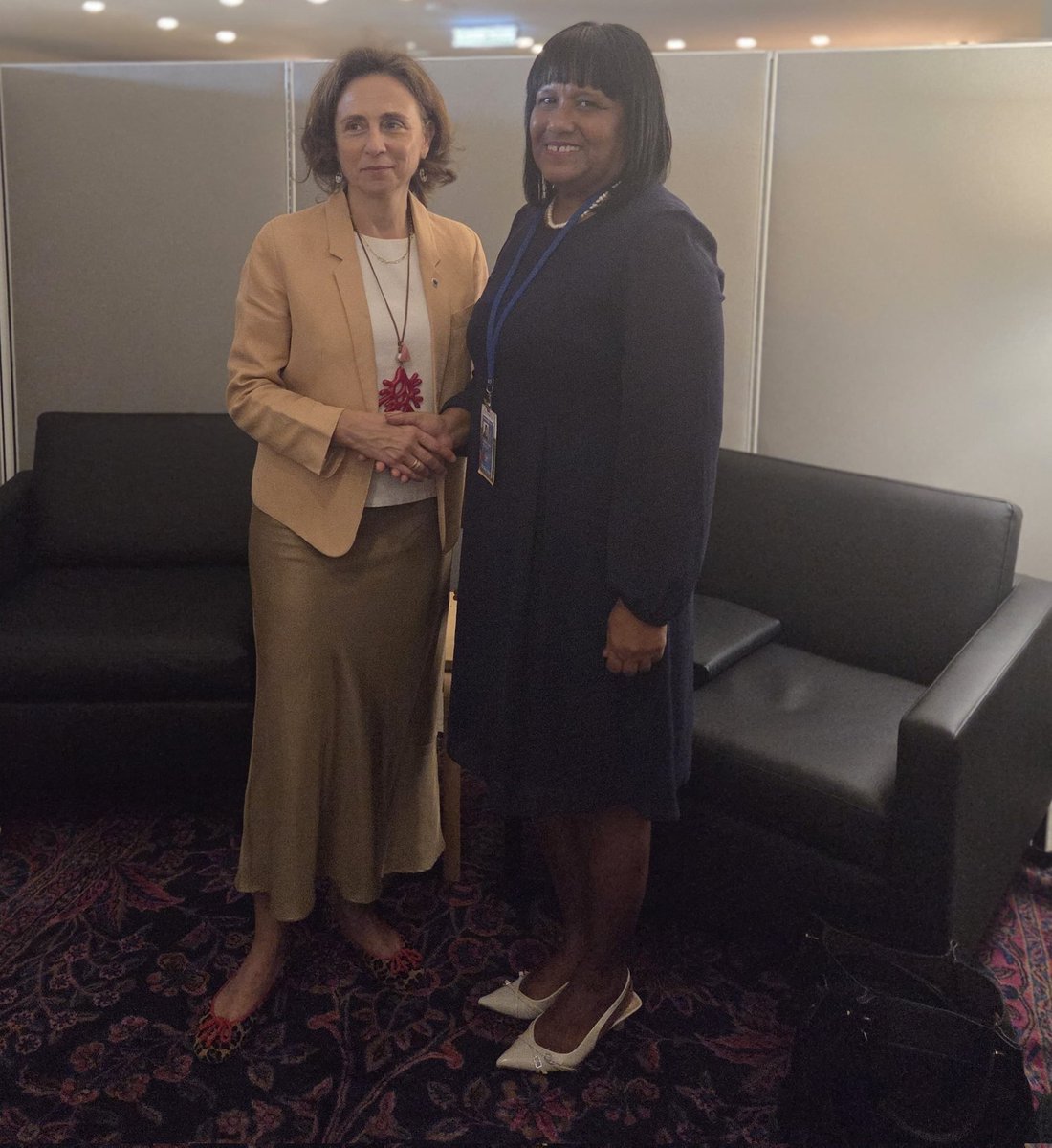 AnayansiRCamejo's tweet image. Contexto #80AGNU,sostuve grato encuentro con Belén Martínez @EEAS_SecGen.Intercambiamos sobre positivo estado relaciones #Cuba - #UniónEuropea y proyectos conjuntos en virtud del Acuerdo Diálogo Político y Cooperación.  
Agradecí posición común UE en rechazo al #Bloqueo contra 🇨🇺