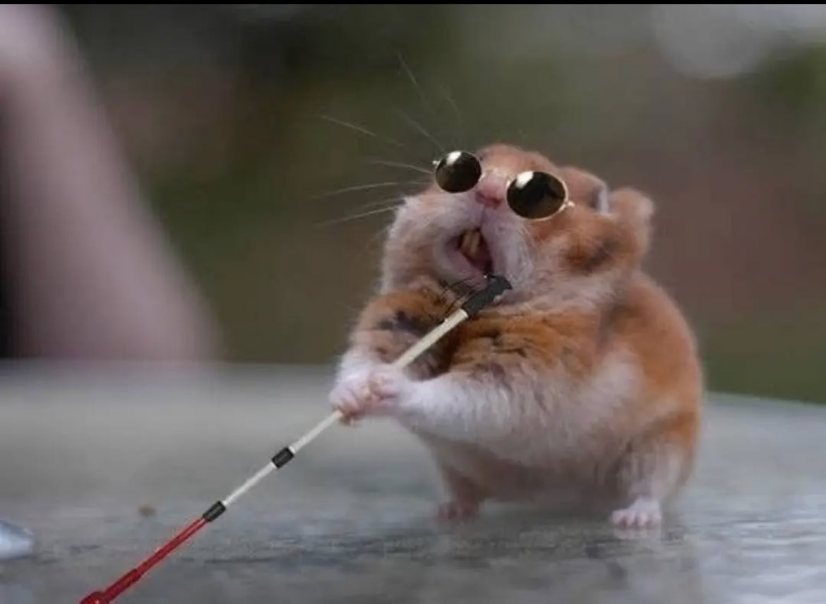 POV: Cuando hay casos de Corrupción, Lavado, Videos, Desfalcos,etc.. pero son por parte de personas de Libre. 

Gobierno, MP, CSJ: