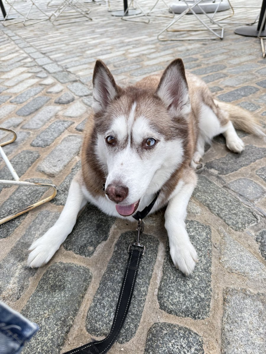 I feel like today needs more Gigi on the TL 🥹