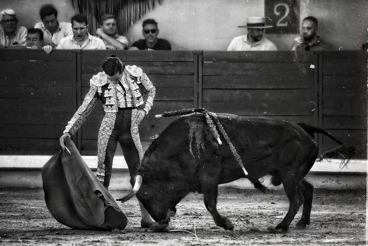 Francisco Moreno Rodriguez (@81paquillo) on Twitter photo Cuando se hacen las cosas con el corazón,hasta perdiendo... se gana...
Yo me entiendo. 
Portarse bien. 
#JuanOrtega  #Mividaenunafoto
#Momentos #Detalles #FotografíaTaurina #FMorenoR #ByN #BlancoyNegro 
<a href="/juanortegapr/">Juan Ortega</a> Cuando se hacen las cosas con el corazón,hasta perdiendo... se gana...
Yo me entiendo. 
Portarse bien. 
#JuanOrtega  #Mividaenunafoto
#Momentos #Detalles #FotografíaTaurina #FMorenoR #ByN #BlancoyNegro 
<a href="/juanortegapr/">Juan Ortega</a>