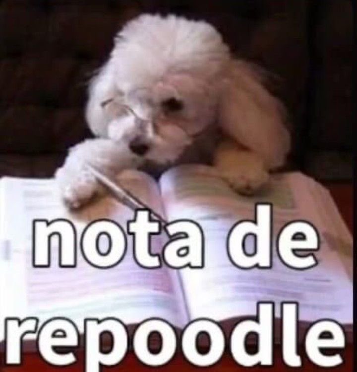 studiesmoni's tweet photo. na pagina 233 e nenhum beijo 😭 https://t.co/TnlwZ0wMNi