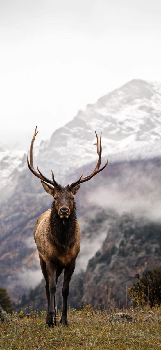 RMNP today. Taken by Kelsey Pratt of First Due Photography.