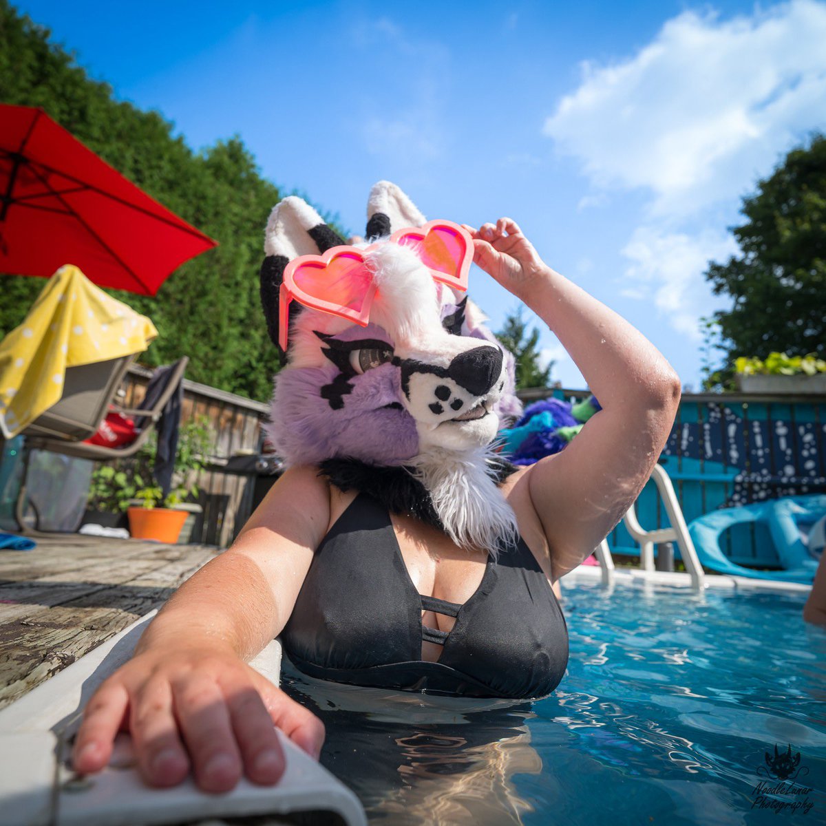 I wish pool season didn’t have to end 🐶🩷☀️ 

📷 <a href="/NoodleLunar/">Lunar</a>