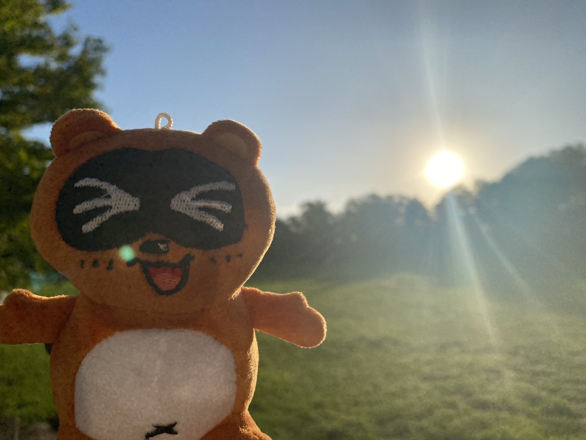 たぬきち たぬきち on X: 