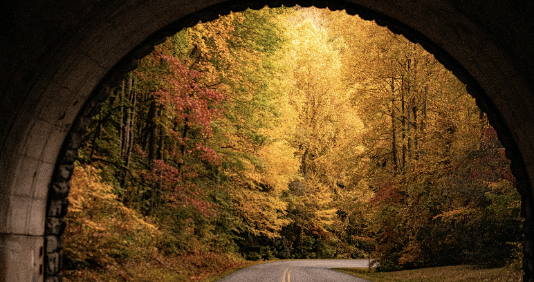 Learning-Focused tweet media