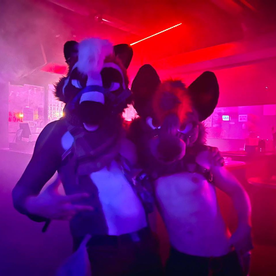 Dogged it out at pup night with <a href="/Luzefur/">Luze 🔜 aqf?🫟</a> this weekend 🐶

📸: <a href="/CodyWuff/">Cody Wuff</a>