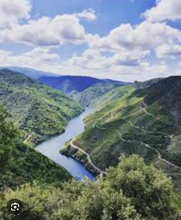 <a href="/FronteirasPT/">Fronteiras</a> <a href="/GaliciaMaxica/">Galicia Máxica</a> <a href="/Fridacat7/">Fridacat</a> <a href="/arteviajero_com/">ArteViajero</a> <a href="/OrgulloGalegoGz/">OrgulloGalego</a> <a href="/salcedista/">O Salcedo 🏳️‍🌈</a> <a href="/un_galicia64394/">Un Salto A Galicia</a> <a href="/SabiasGalicia/">Sabías Galicia</a> <a href="/MonchoGallecia/">Moncho (Galiza 🤍💙🤍)</a> <a href="/galiciaviral/">#Galicia🩵</a> <a href="/SecretGalicia/">Secret Galicia</a> <a href="/TurismoGalicia1/">TurismoGalicia1</a> <a href="/viajar/">Revista Viajar</a> <a href="/Petiscosgalegos/">PetiscosGalegos</a> <a href="/ArteViaje/">Arte, Viaje Y Entretenimiento</a> <a href="/vivamos_galegos/">Vivamos como galegos</a> <a href="/GaliciaForecast/">GalicianForecast</a> A Limia! ❤
Ainda hoxe dende Ourense leva uns 45' indo por #OsPeares e #Pantón, mais eu sigo preferindo o roteiro que ti indicas. A baixada ata o sil en é muito fermosa e subir dende o embarcadeiro a Doade entre socalcos e viñais, um deleite pra os sentidos! 😍

#RibeiraSacra