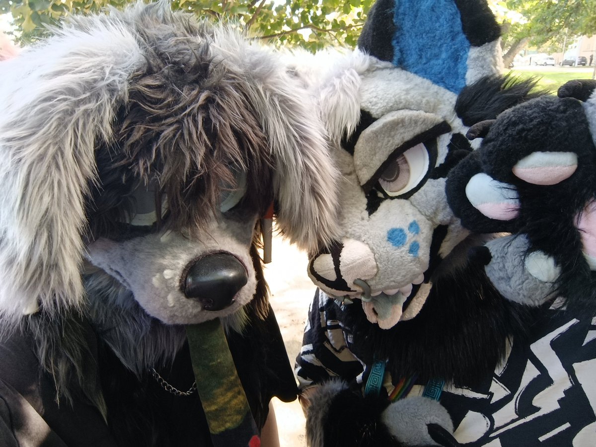 corrinewoof's tweet photo. w/ Ostin, Scarfy, Xybryx, Arthes

pics 1/4 from #wroof #WroclawskiFurwalk

#furry https://t.co/aTdqsGD50M