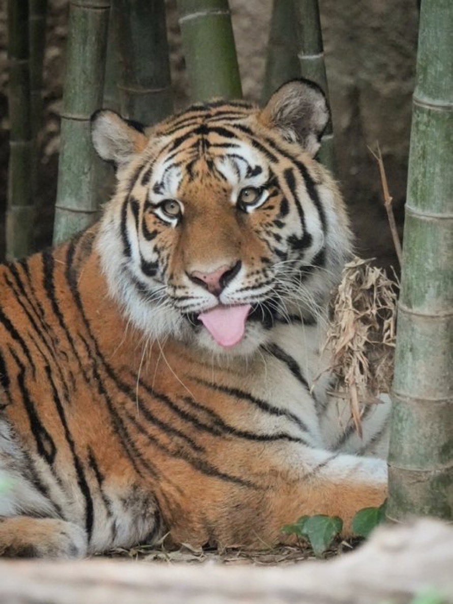 wock9000's tweet image. the ugliest code makes the most money