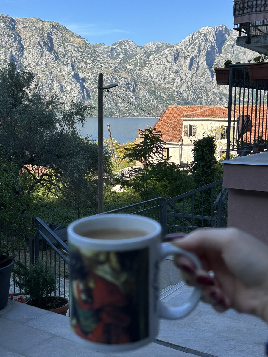 бирсукес tweet media