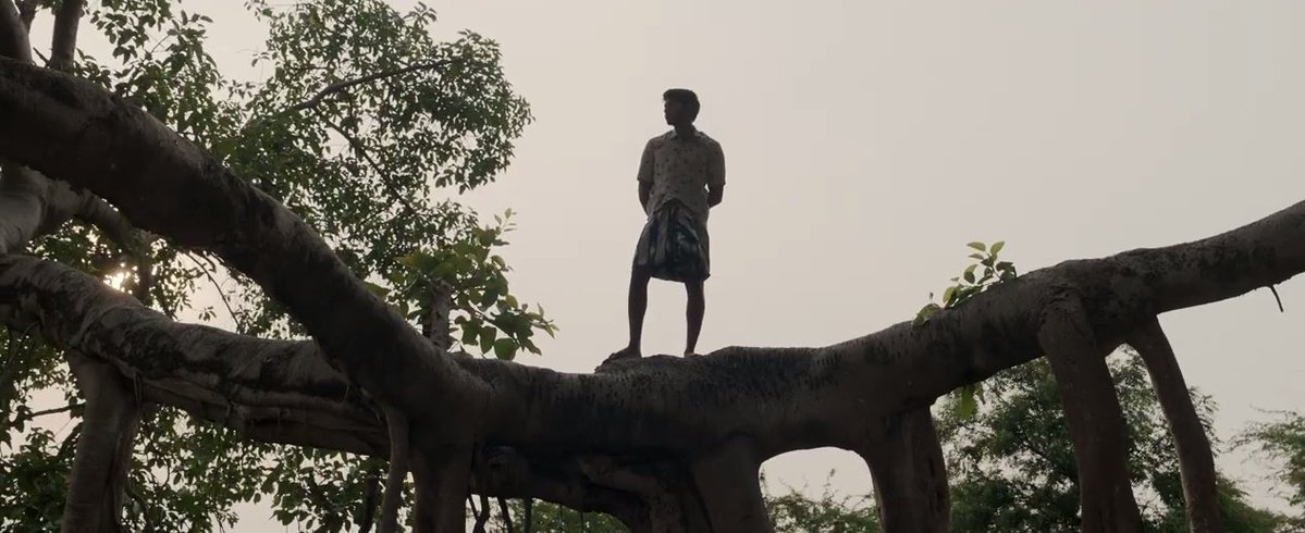 kovai jeyaram (@jai_sriv) on Twitter photo #BisonKaalamaadan
#DhruvVikram
Happy Birthday wishes Thambi
3 frame onscreen wow <a href="/mari_selvaraj/">Mari Selvaraj</a> #BisonKaalamaadan
#DhruvVikram
Happy Birthday wishes Thambi
3 frame onscreen wow <a href="/mari_selvaraj/">Mari Selvaraj</a>