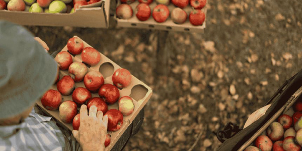 𝗗𝗲𝗹 𝗰𝗮𝗺𝗽𝗼 𝗮 𝗹𝗮 𝗺𝗲𝘀𝗮: 𝗲𝗹 𝗿𝗼𝗹 𝗲𝘀𝘁𝗿𝗮𝘁é𝗴𝗶𝗰𝗼 𝗱𝗲𝗹 𝗽𝗮𝗰𝗸𝗮𝗴𝗶𝗻𝗴 𝗲𝗻 𝗲𝗹 𝗮𝗴𝗿𝗼 𝗺𝗼𝗱𝗲𝗿𝗻𝗼

🌐cafcco.com.ar/del-campo-a-la…

#CAFCCo #PackagingSustentable #AgroInnovador #AgroExportador #ValorEnOrigen #SeguridadAlimentaria #EconomíaCircular