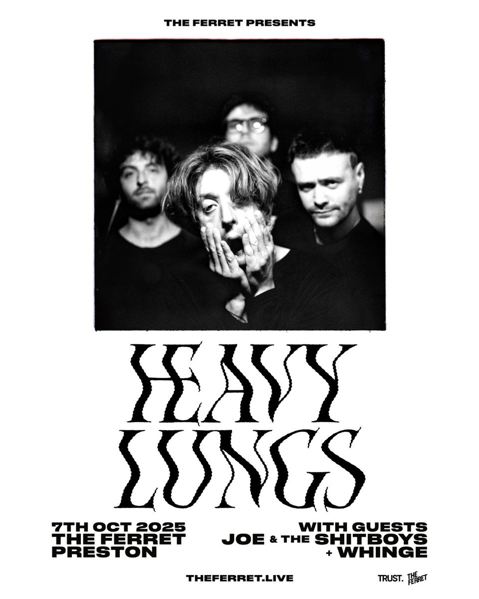 The Ferret tweet media