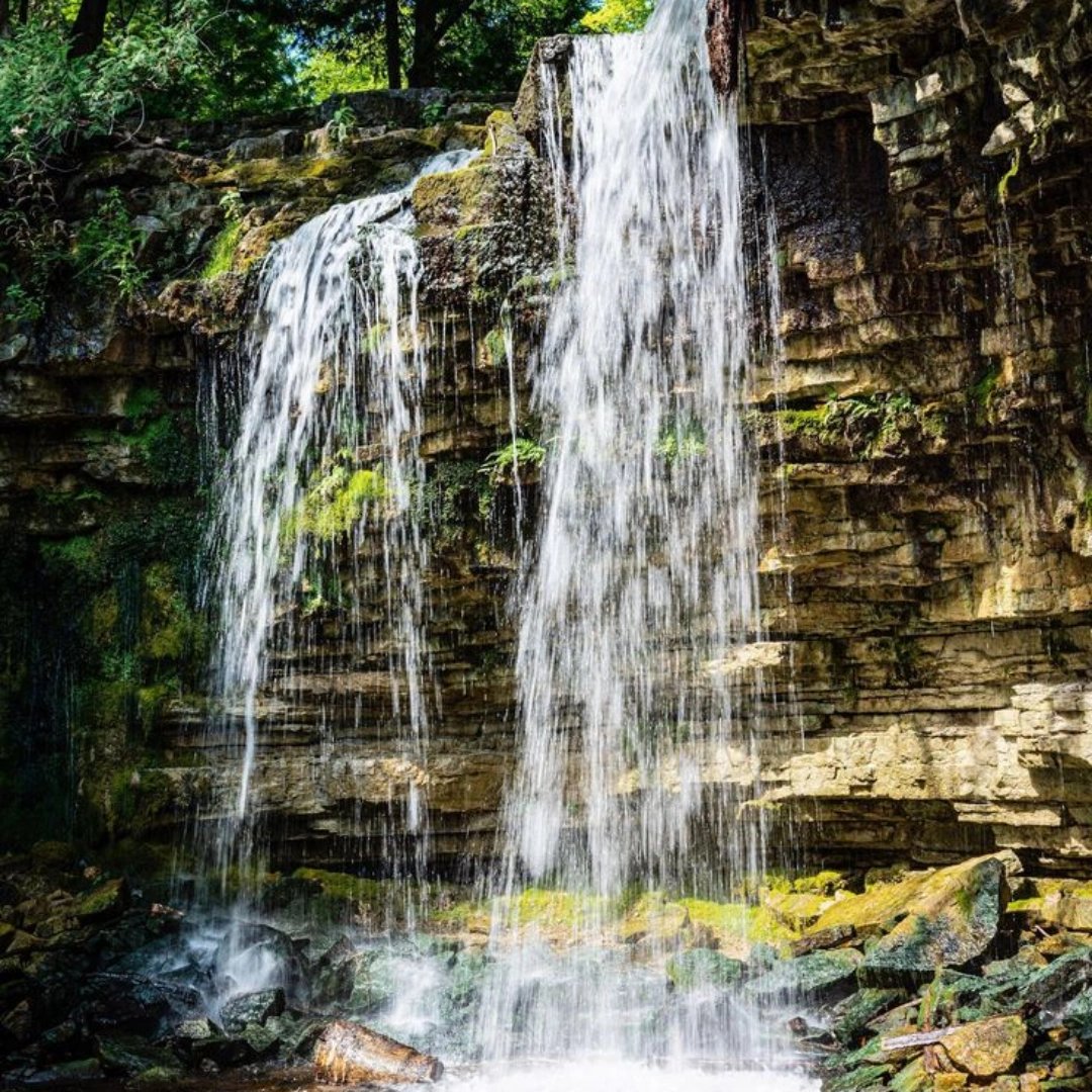 stargell475's tweet photo. @stevie_lyne Just a short walk from my front door https://t.co/ooLRKGCQLN