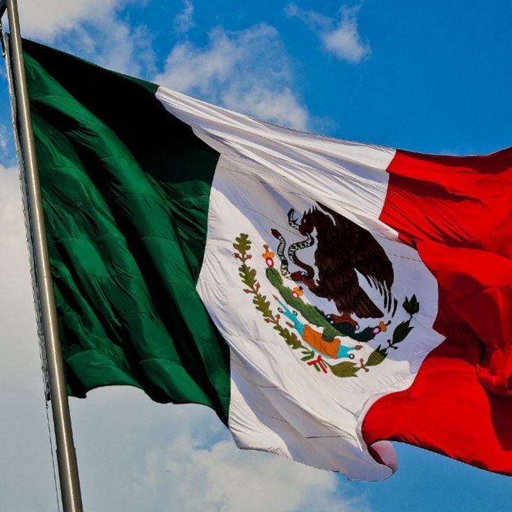 ButeraCesar's tweet image. One second, what about slut pop Mexio?