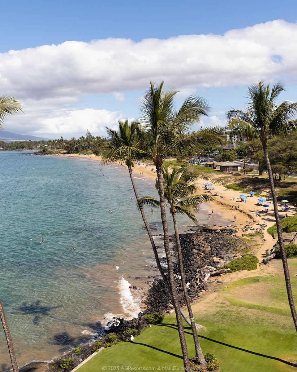 The rooftop BBQ area at Royal Mauian isn’t just for grilling, it’s for sunsets, stargazing, and 360-degree island views that you won’t forget.

aliiresorts.com/vrp/complex/ro…