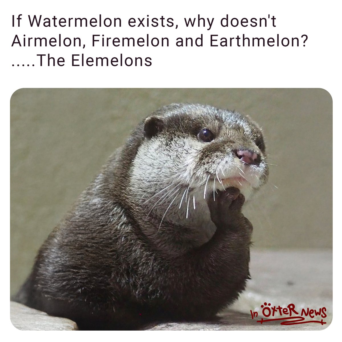 Steve is nagging at the universe's unanswered fruit-related questions again.
Stop it, Steve. It's a fruitless endeavour.
[#SteveThoughts](bsky.app/hashtag/SteveT…)