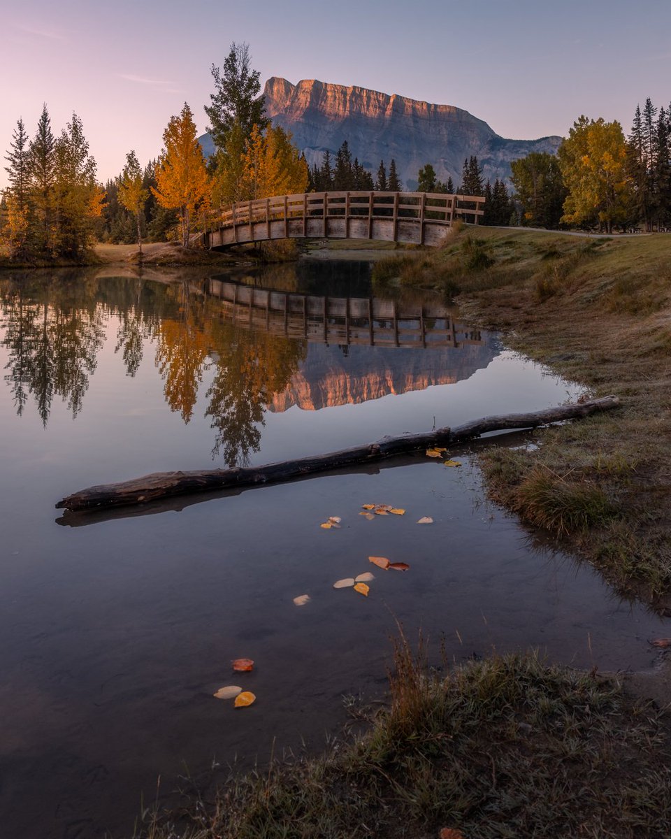 danschyk's tweet image. Cascada Ponds, Banff