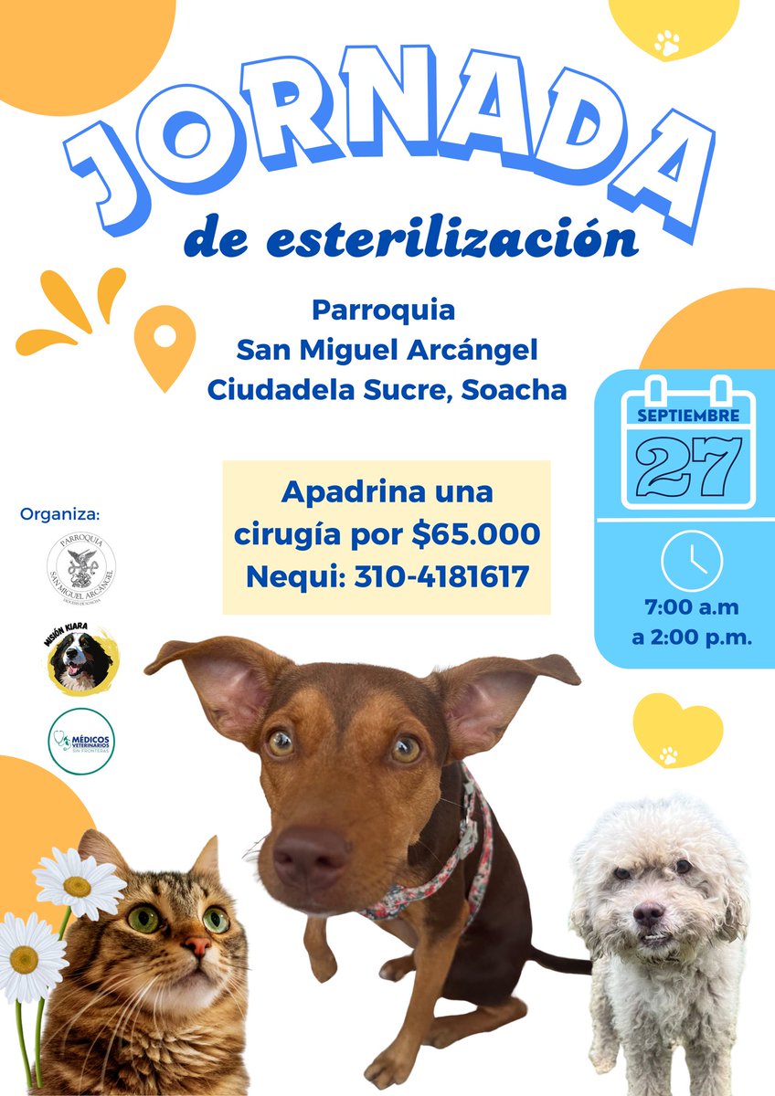 Volemos a las jornadas de esterilización, esta vez en Soacha 🐾🐶

La meta es llegar a 120 cirugías, si quieres apadrinar alguna esterilización, a continuación están los datos 🙏

<a href="/andreanimalidad/">Andrea Padilla Villarraga🐆</a> <a href="/MONYRODRIGUEZOF/">MÓNICA RODRÍGUEZ 🐤</a> <a href="/AleGiraldoP/">Alejandra Giraldo</a> <a href="/HELIODOPTERO/">Gonzalo Guillén</a> <a href="/alexandravasoch/">Alexandra Vásquez</a> <a href="/DanielSamperO/">Daniel Samper Ospina</a>