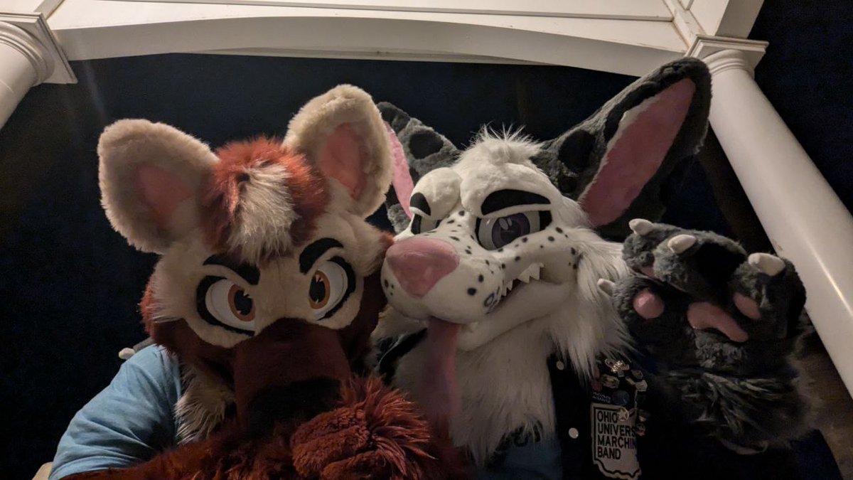 Ryan Hatfield tweet media