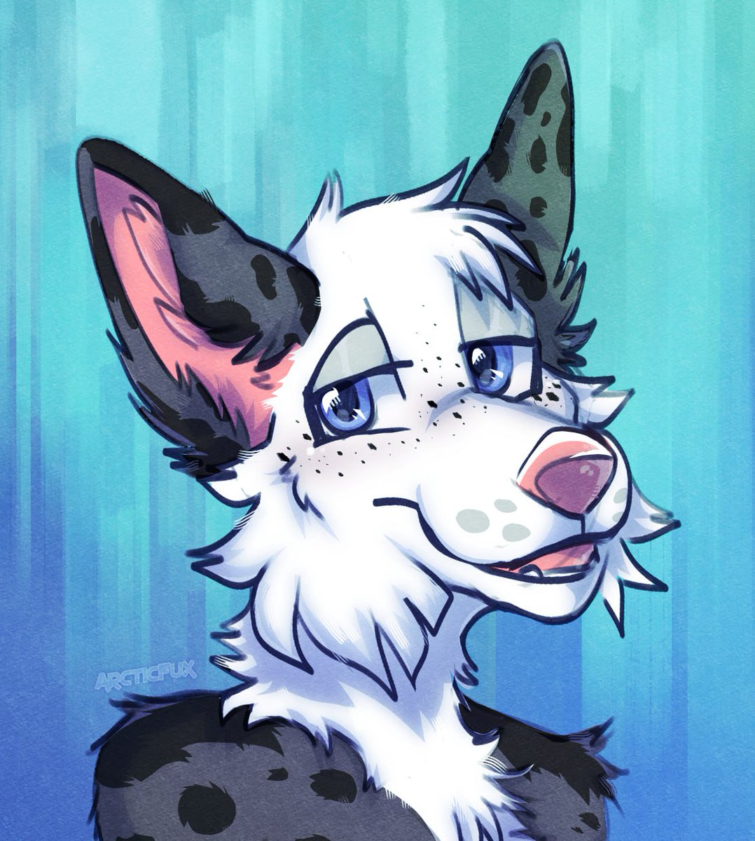 Ryan Hatfield tweet media