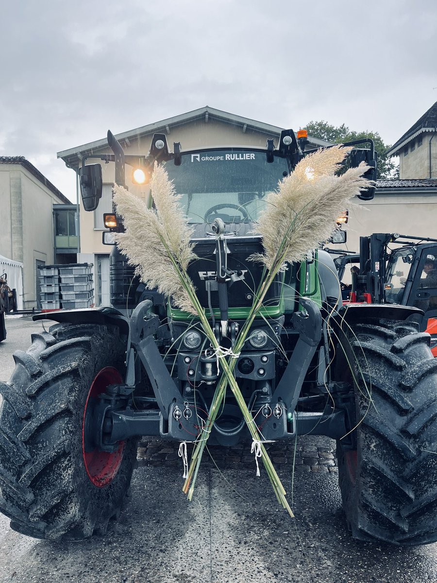 Pichon Comtesse 2025 - Day 15 &amp; Last - Right on time for fall - Pushing the limits, when tanins get powdery right on the edge, when the vine begins to fade - Thank you to our very skilled and patient team - Beautiful job once again ! Love you
#PichonComtesse #TheBestIsYetToCome