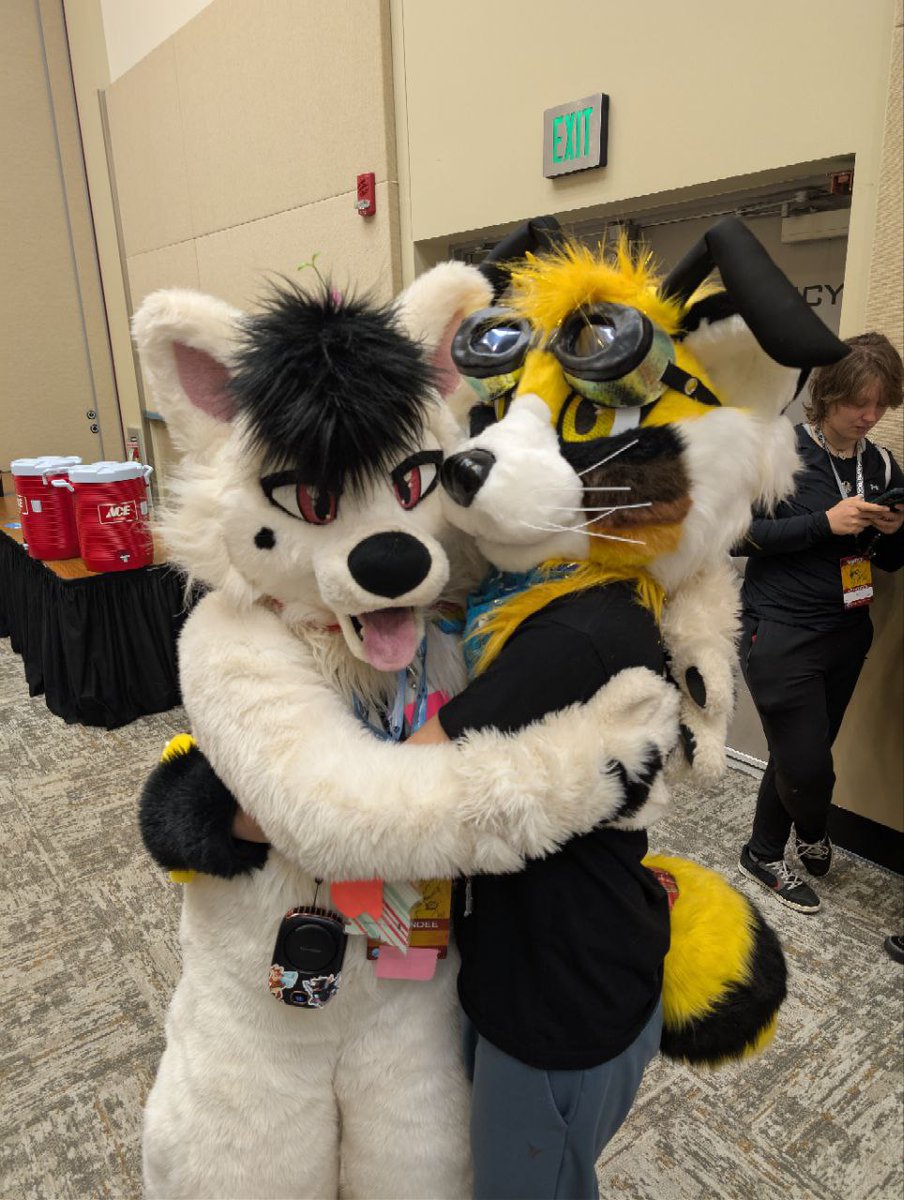 Found a cutie bee! Nnes