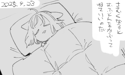 かぶって寝るのがすきです 