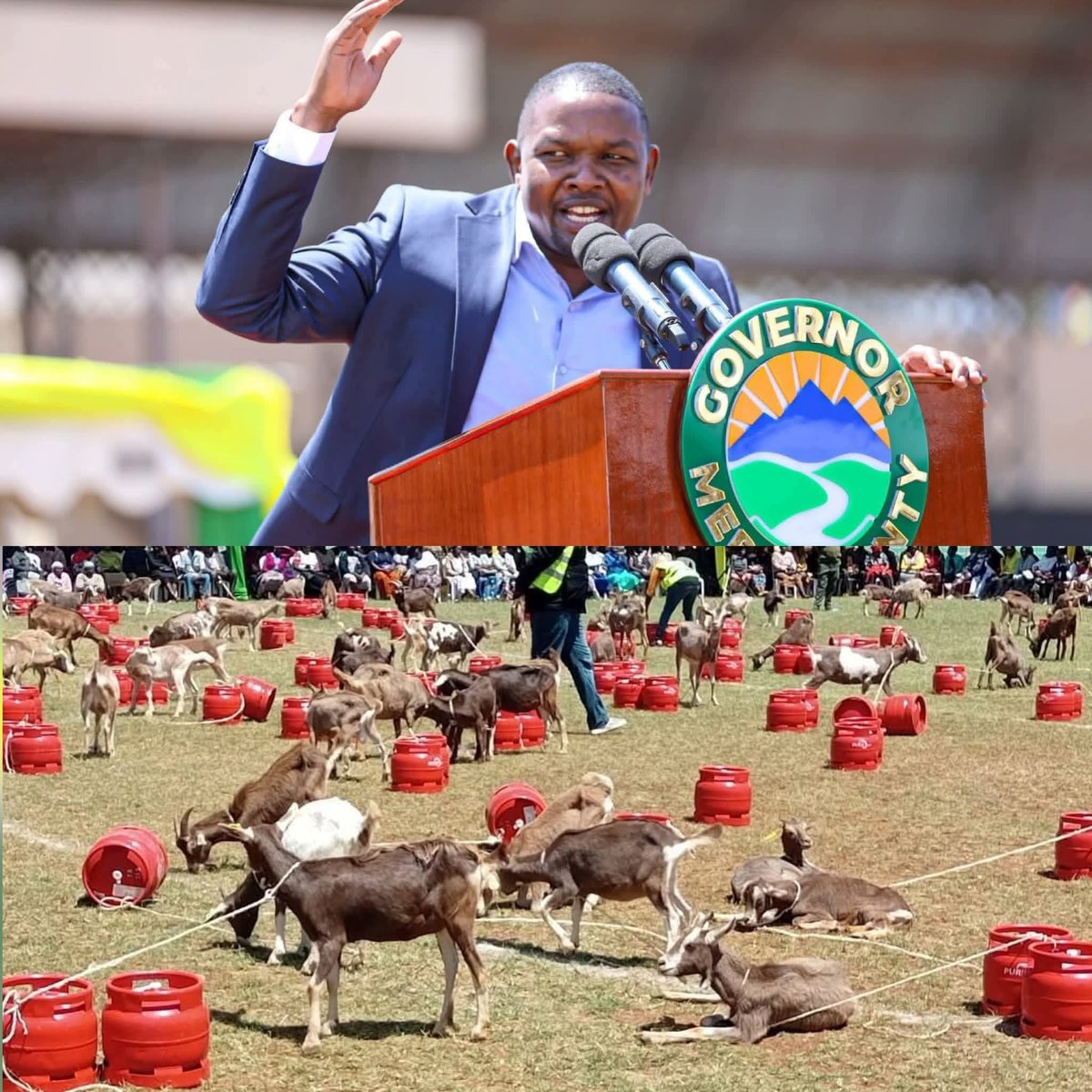 In Meru, the circus continues. It's Mbuzi choma all the way to the ballot. 🥲🤣🤣🤣🤣🤣🤣🤣🤣