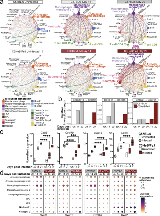 JExpMed's tweet photo. William Branchett, Anne O’Garra et al. reveal that type I signaling early during M. #tuberculosis infection favors #neutrophil swarming and limits CD4+ T cell–#macrophage interactions in #TB lesions, impeding TB disease control. https://t.co/MLg0pDumEH https://t.co/YTbNAB0KW1