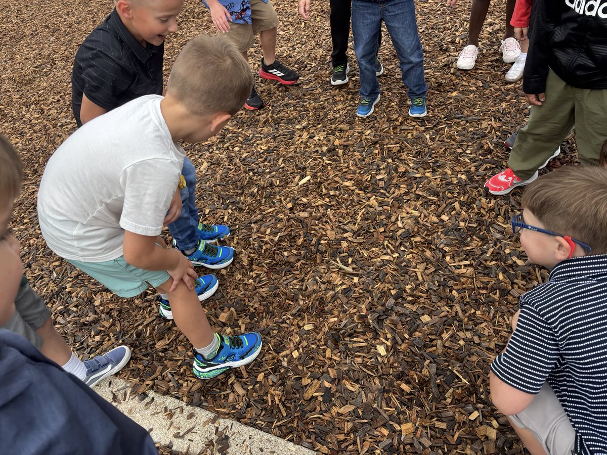 Today during recess we discovered a praying mantis! We have so many questions ⁦<a href="/BSEhseIN/">BSE-HSE</a>⁩
