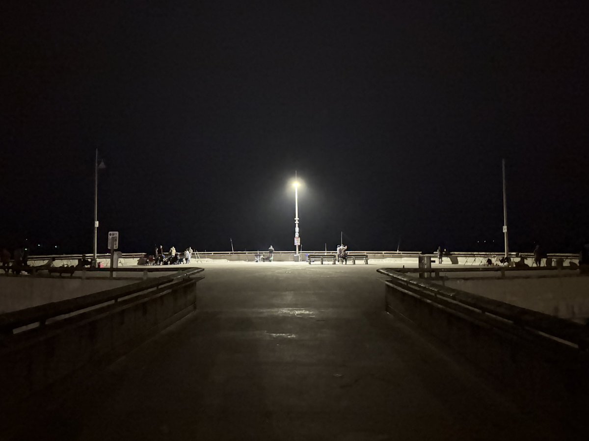 mudled's tweet image. 