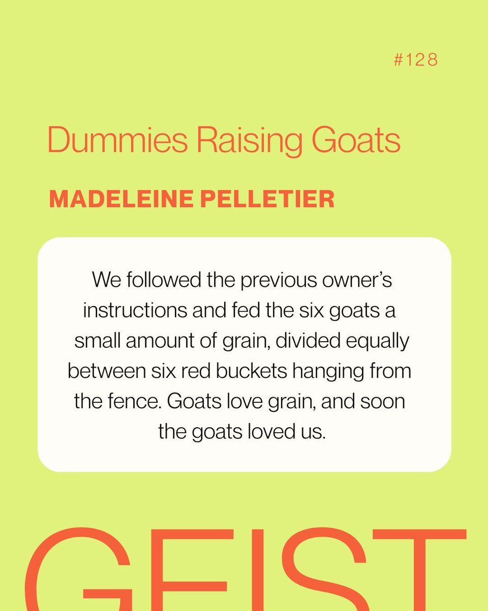 "We followed the previous owner’s instructions and fed the six goats a small amount of grain, divided equally between six red buckets hanging from the fence. Goats love grain, and soon the goats loved us." –Madeleine Pelletier, "Dummies Raising Goats" #128 buff.ly/wj4MWzD